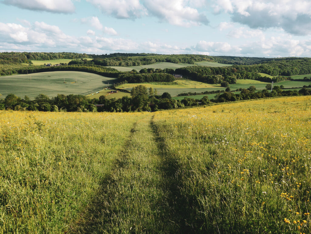 Location - North Downs Barn Bed and Breakfast